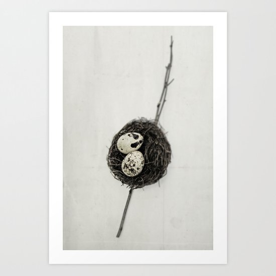 nest + speckled eggs | fig. o1 Art Print