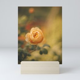 Golden yellow rose | Flower photography | Floral photography Mini Art Print