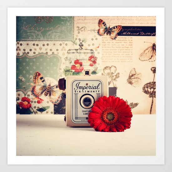 Retro Camera and Red Flower (Retro and Vintage Still Life Photography) Art Print