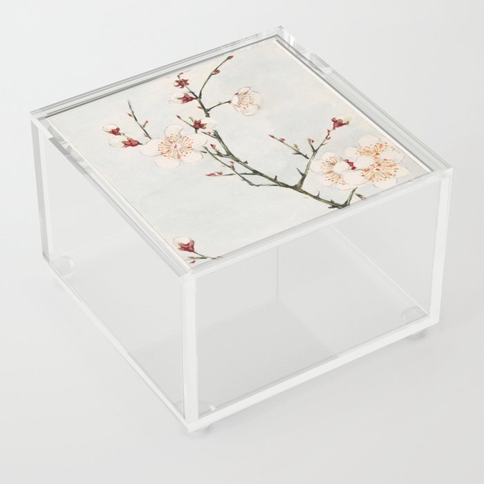 Plum Branches With Blossoms Acrylic Box