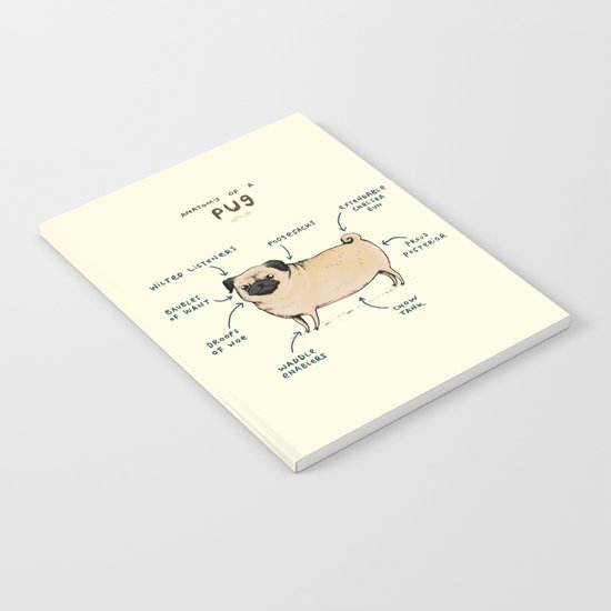 Anatomy of a Pug Notebook
