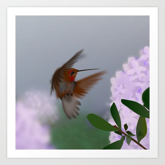 Hummingbird Art Print