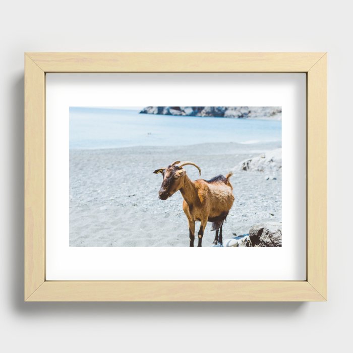 Goats and Goats and Goats (13) Recessed Framed Print