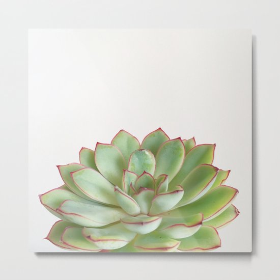 Green Succulent Metal Print