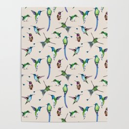 Cream Hummingbird Pattern Poster
