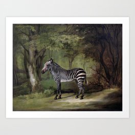 Zebra (1763) by George Stubbs Art Print