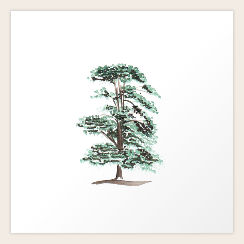 Cedar Tree Art Print By Aniiiz Society6