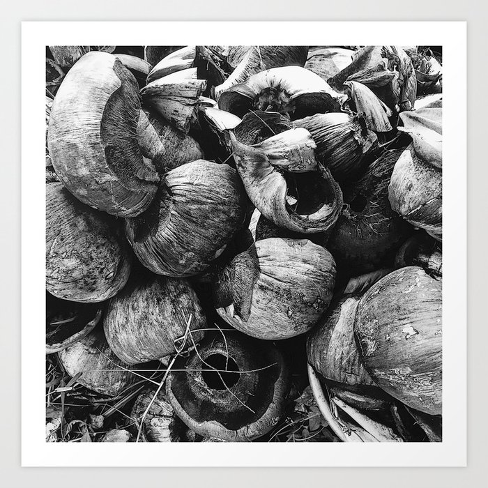 Coconut Shell Black and White Art Print