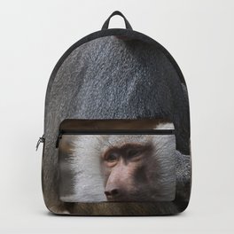 MAGIC MONKEY - Olive Baboon Backpack