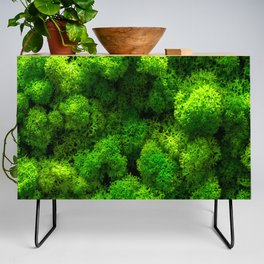 Green Moss - Interior Design Credenza
