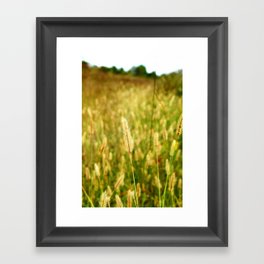 Grass Of The Field - Golden Harvest Framed Art Print