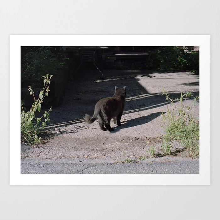 Art Print