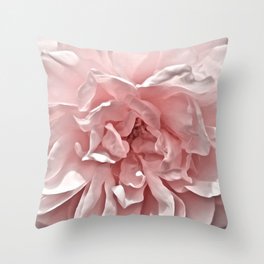 Pink Blush Rose Throw Pillow