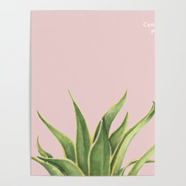 Botanical Plant Blush Pink Poster