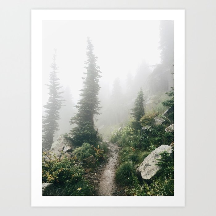 Foggy, Windworn Pines at Glacier National Park Art Print