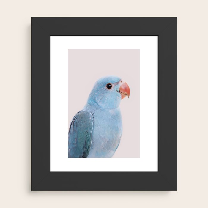 Blue Parrot Art Print by Sisi And Seb | Society6