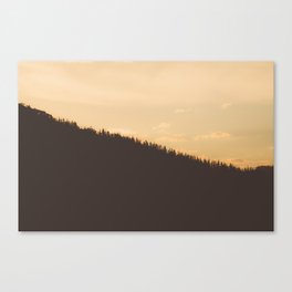 /// Beyond the tree line /// Sunset over the pine forest in Victoria, Australia. Canvas Print