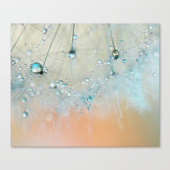 dandelion blue III Canvas Print
