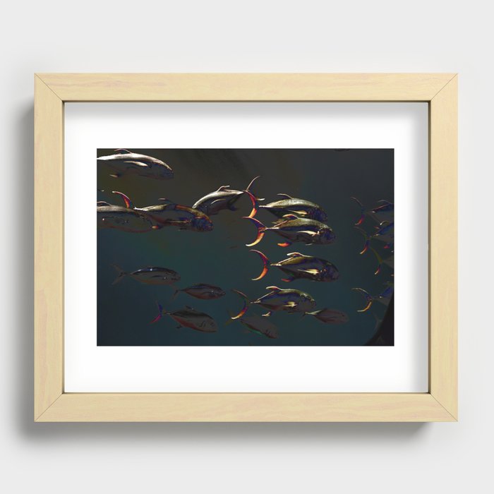 Fish - Underwater Recessed Framed Print