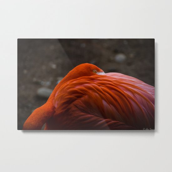 P.Y.T. (Pretty Young Thing) Metal Print