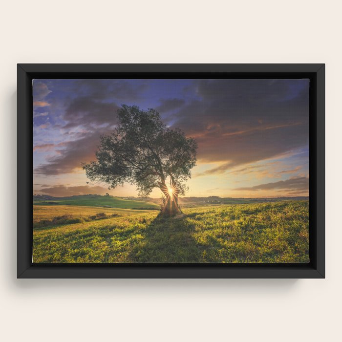 Framed Canvas
