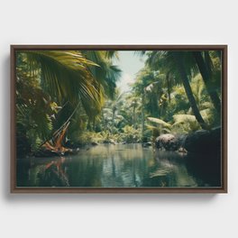 River Through A Tropical Jungle Framed Canvas
