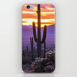Arizona Desert Cactus Sunset Landscape iPhone Skin