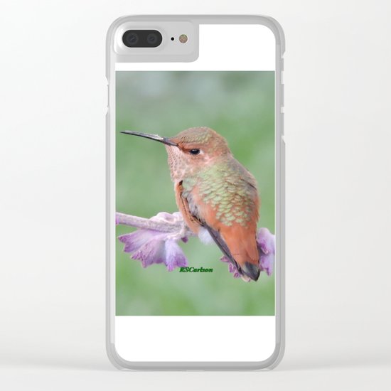 DO NOT Raid My Patch of Sage Clear iPhone Case