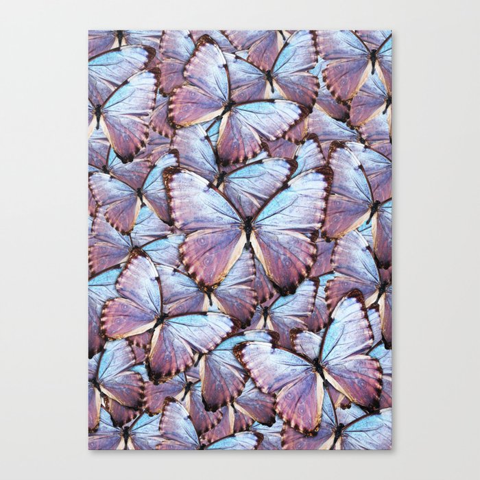 Iridescent Butterflies Leinwanddruck Iridescent Butterflies Leinwanddruck