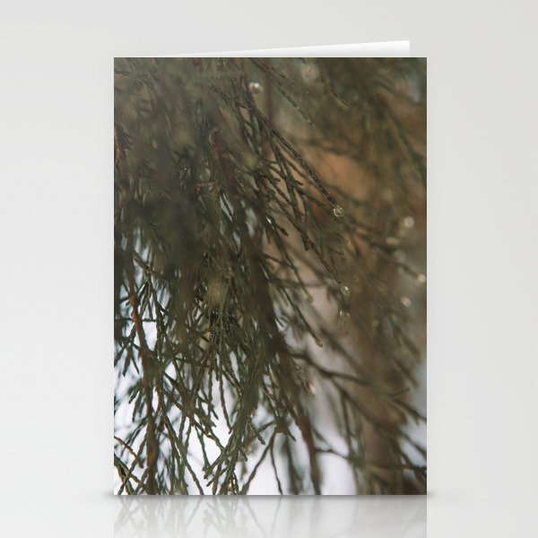 Pine Tree Close up - Nature's Beauty Captured - Dark Green botanical photograph Stationery Cards