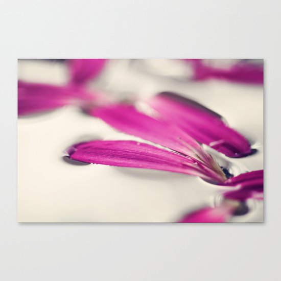 Pretty Petals Canvas Print