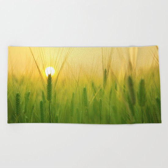 Morning Barley Field Beach Towel