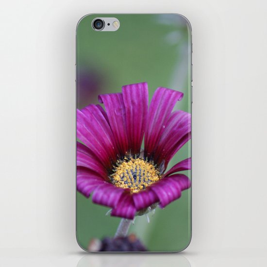 Shades of green iPhone & iPod Skin