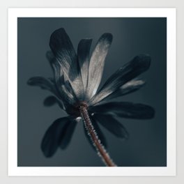 The Deliciously Dark Flower Art Print