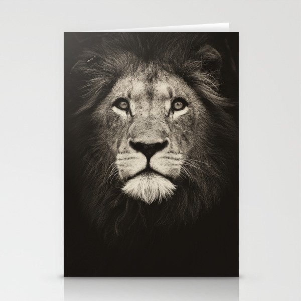Portrait of a lion king - monochrome photography illustration Stationery Cards