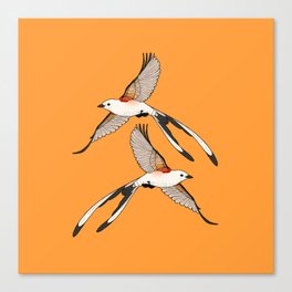 Scissor-tailed Flycatcher Canvas Print