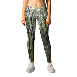 Forest trail Leggings | Nature, Hiking, Mountain Biking, Forrest, Canada, Trees, Trail, Photo, British Columbia, Mountains 