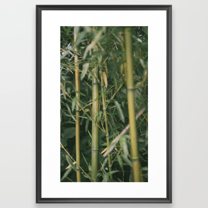 bamboo composition no.1 Framed Art Print