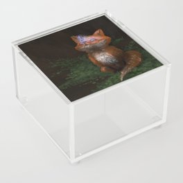 Fox in wonders Acrylic Box