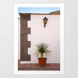 Plants of Yaiza | Lanzarote | Minimal fine art travel photography print | Art Print