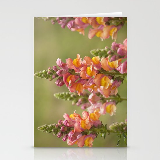 Snappy Tangerine Tango Stationery Cards