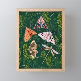 Moths and dragonfly Framed Mini Art Print