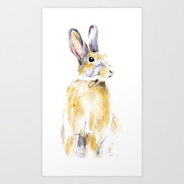 I'm Hare for you Art Print