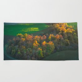 Colourful heart shaped woods in autumn. Tuscany, Italy Beach Towel