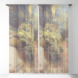Enchanting Mystery Sheer Curtain