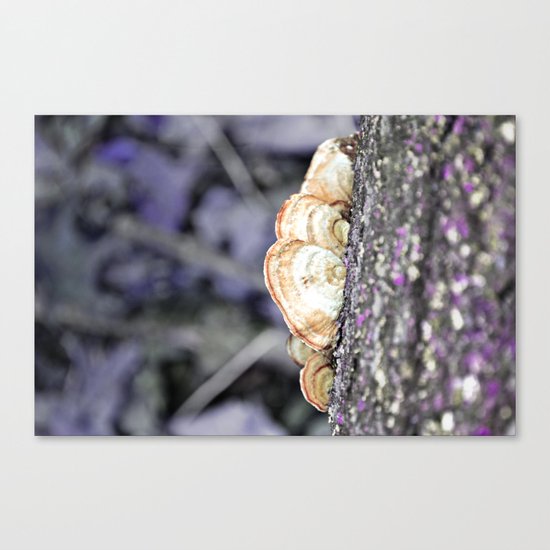 Fungus Canvas Print