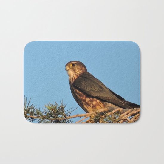 Cooper's Hawk in Evening Light Bath Mat