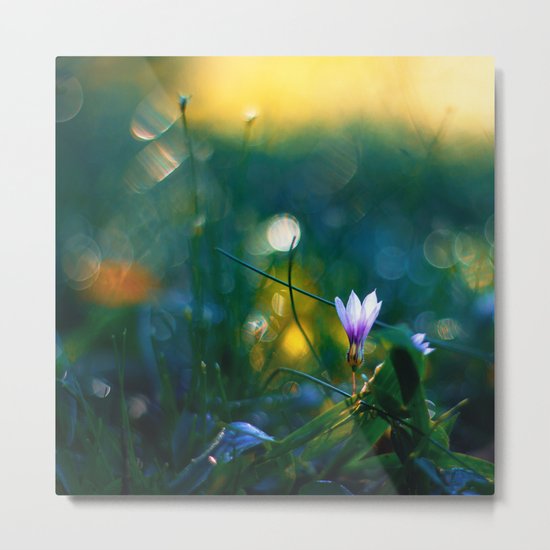 Waiting for Sunshine Metal Print