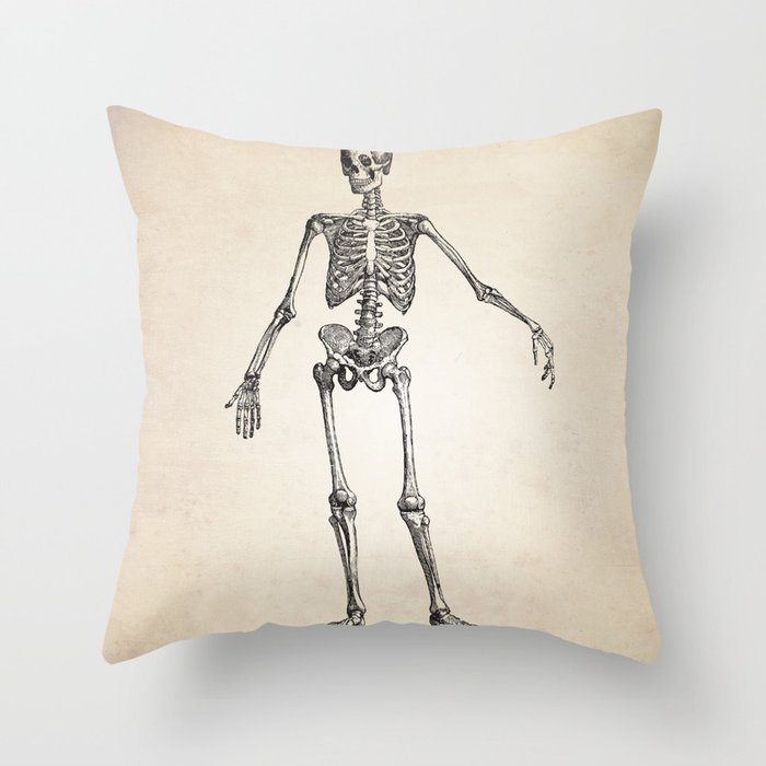 Skeletal System Human Anatomy Skeleton Art Print Throw Pillow