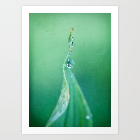 Cool green water Art Print
